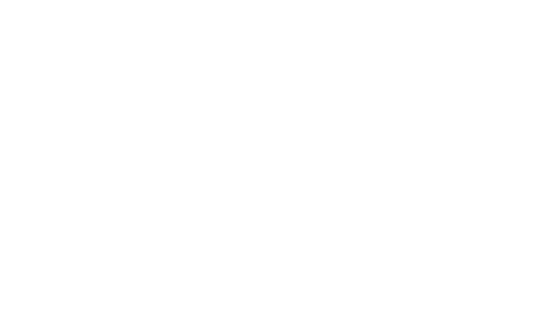Toi Foundation