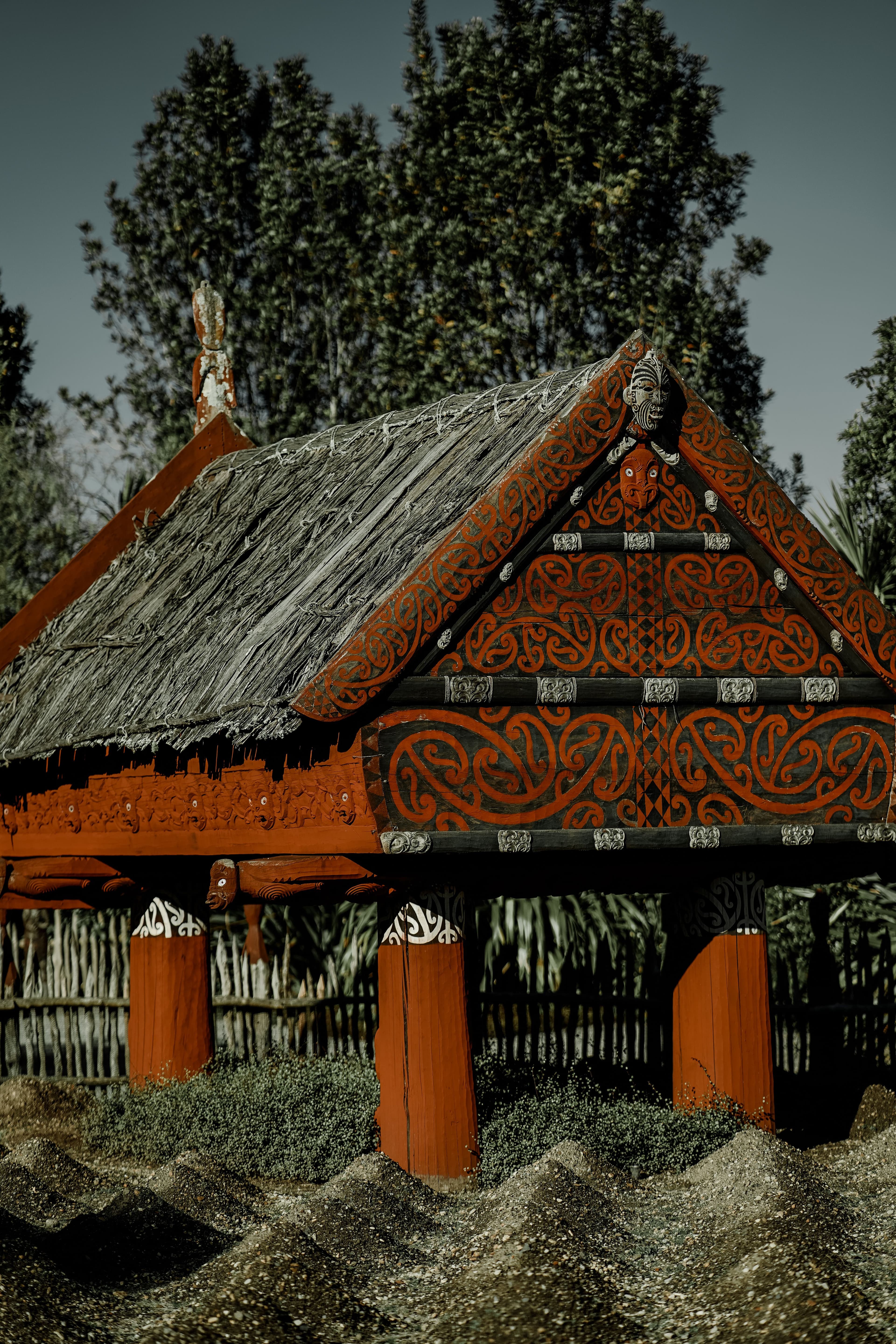 Carved whare at the wānanga venue